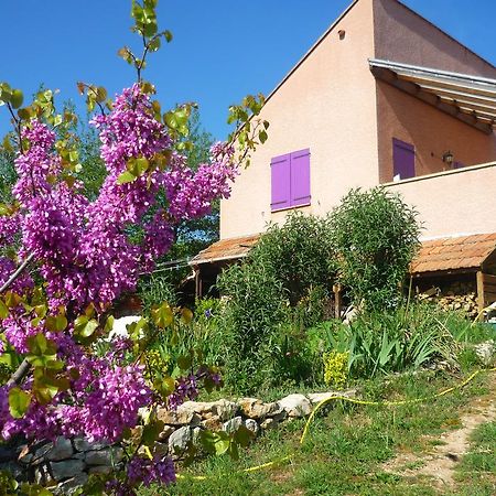 Le Gite De Cristal Proche Bugarach Granes Buitenkant foto