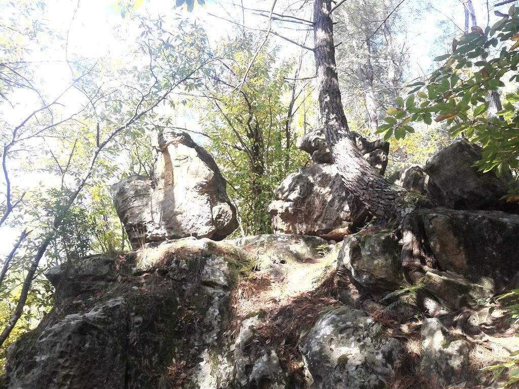 Le Gite De Cristal Proche Bugarach Granes Buitenkant foto